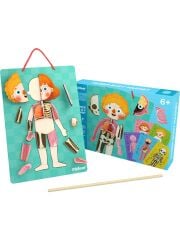 Mideer Vücut Mıknatısı