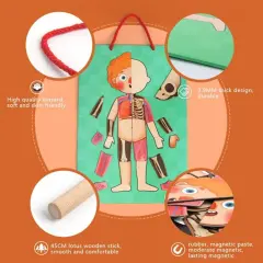 Mideer Vücut Mıknatısı