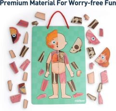 Mideer Vücut Mıknatısı